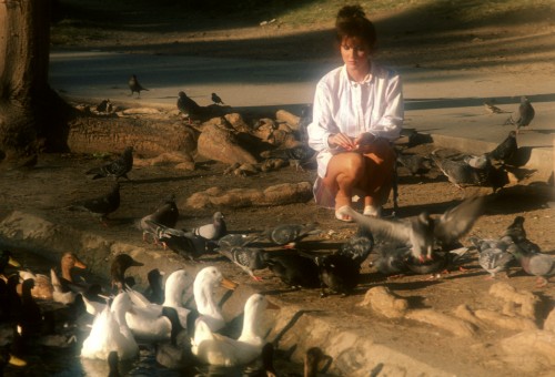 Penthouse Gold porn video: Joelyn