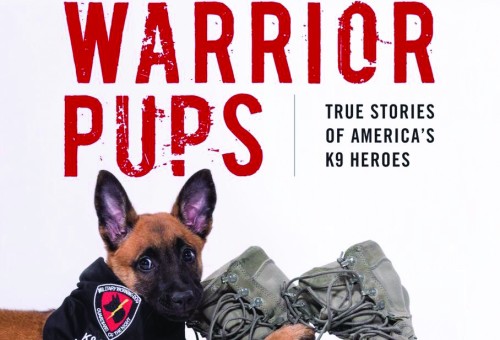 Penthouse Gold porn video: Rough Text - Oct. 2017