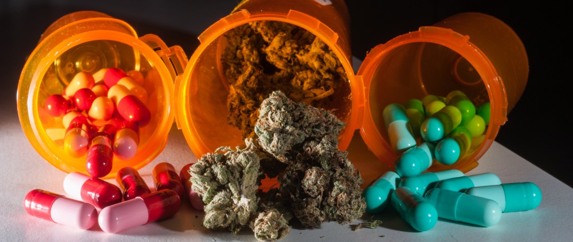 Nostradamus Cannabis