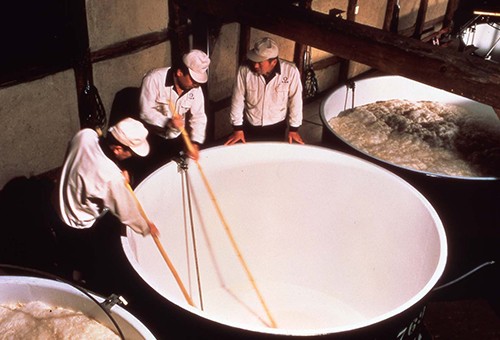 Penthouse Gold porn video: College Students Win $10,000