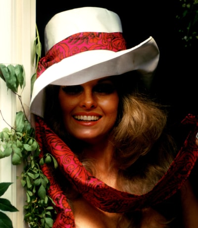 Penthouse Gold porn video: Pet of the Year 1973