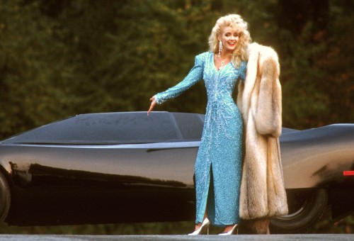 Penthouse Gold porn video: Pet of the Year 1989