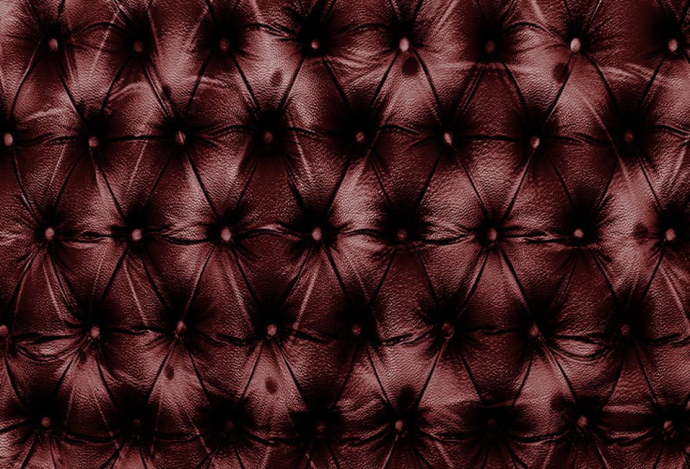 Penthouse Gold porn video: Wild Card