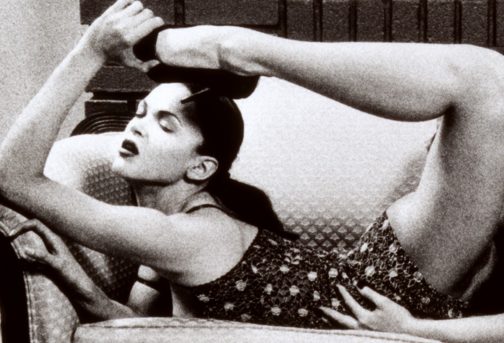 Penthouse Gold porn video: Pictures of Two Exhibitionists