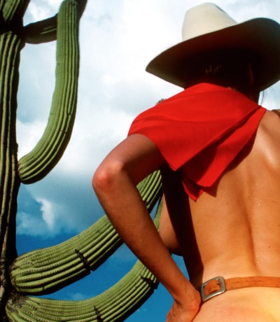 Penthouse Gold porn video: Dual in the Sun