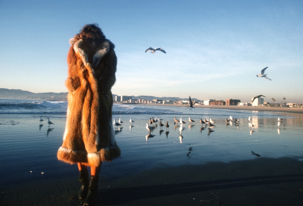 Penthouse Gold porn video: Pet of the Month July 1985