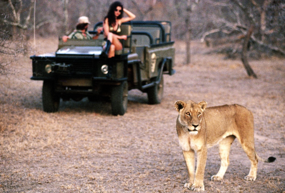 Penthouse Gold porn video: 1993 South African Pet of the Year