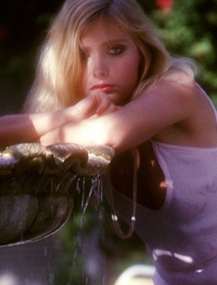 Paula Warnick