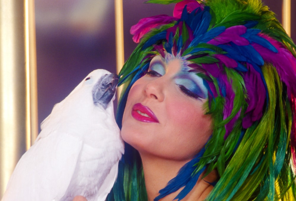 Penthouse Gold porn video: Venus and Anita