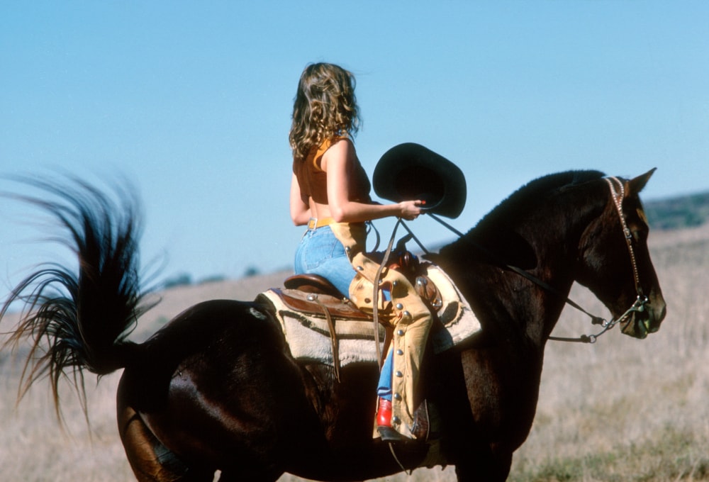 Penthouse Gold porn video: Tex Appeal