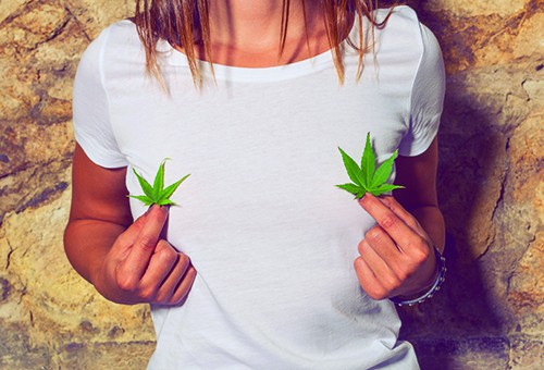 Penthouse Gold porn video: Sex Pot