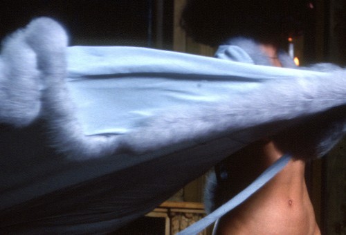 Penthouse Gold porn video: Rebecca Remembers