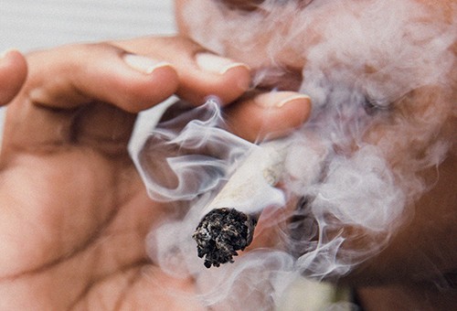 Penthouse Gold porn video: The Wild One