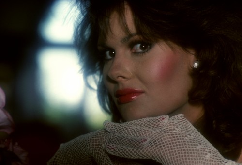 Penthouse Gold porn video: Pet of the Month October 1984