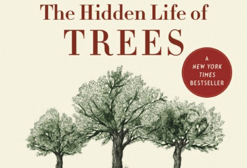 Penthouse Gold porn video: Rough Text - Aug. 2017