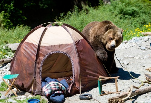 Penthouse Gold porn video: Ask Faber - Sept. 2017