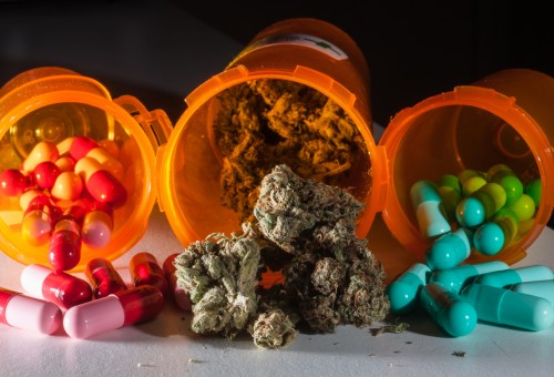 Penthouse Gold porn video: Nostradamus Cannabis