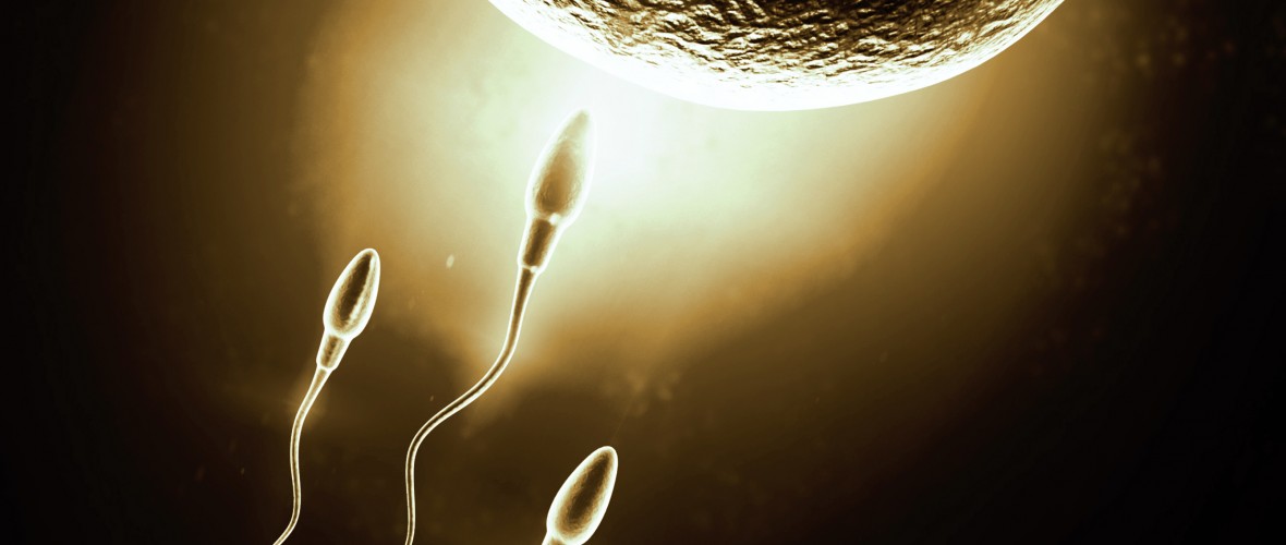 The Anatomy (and Pathology) Of Sex