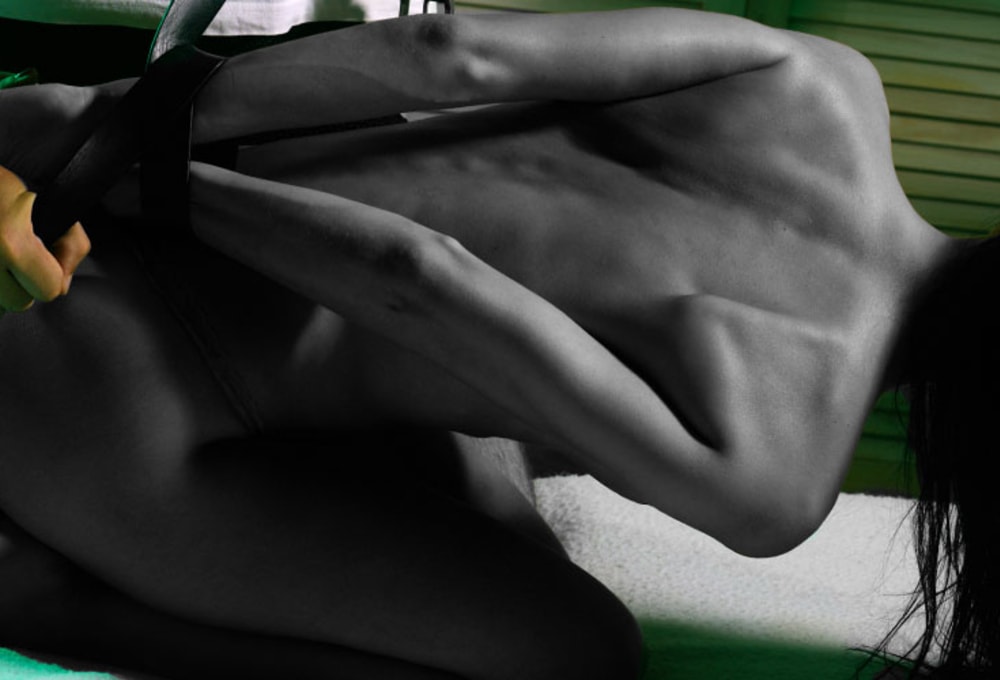 Penthouse Gold porn video: Training Day