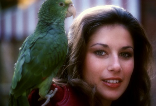 Penthouse Gold porn video: Pet of the Month April 1976