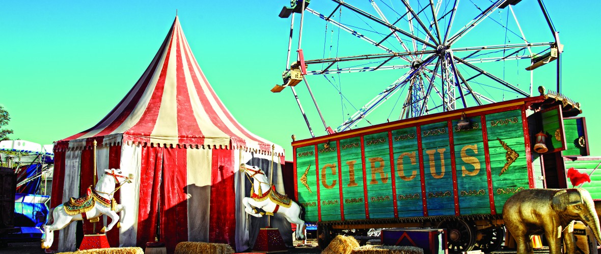 Pop Shots - Jim Rose