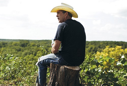 Penthouse Gold porn video: A Bush in the Hand