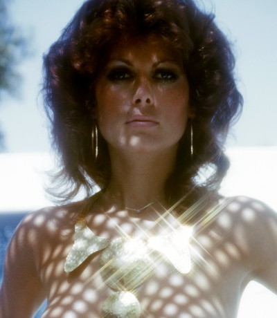 Penthouse Gold porn video: Pet of the Month November 1975