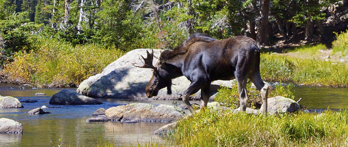 After A Day Of Stupid Mar. 2018