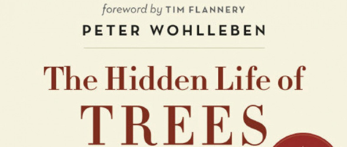 Rough Text - Aug. 2017