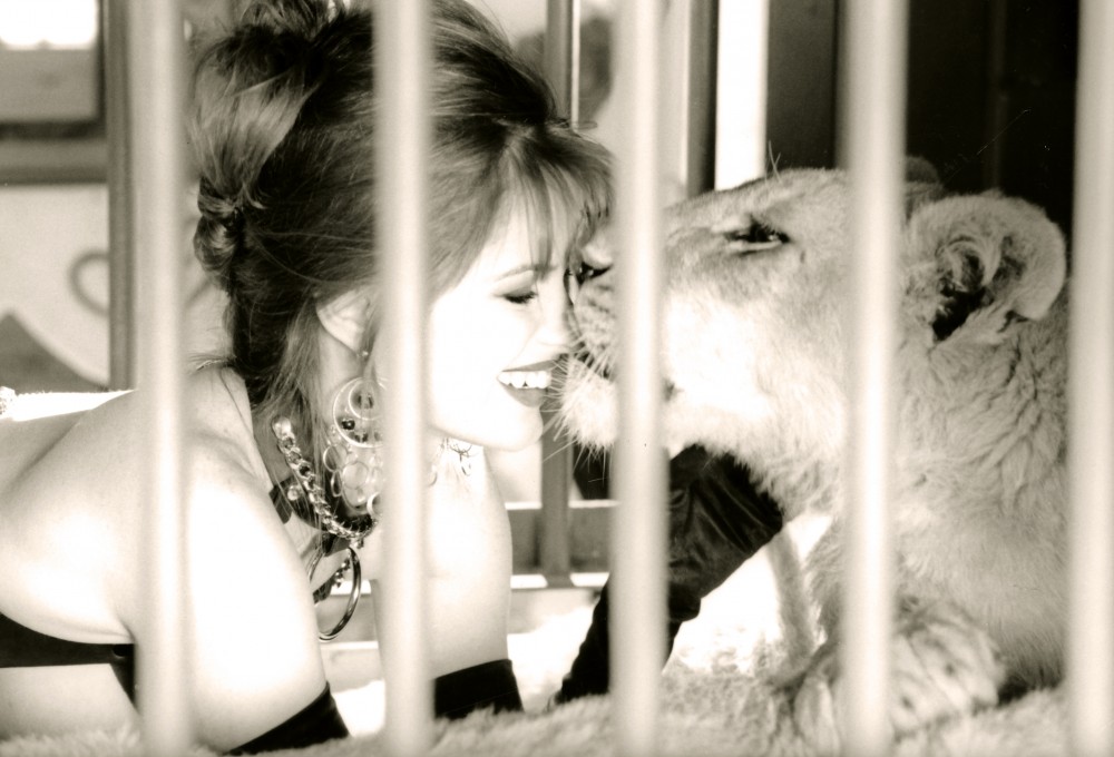 Penthouse Gold porn video: Andi Sue, Pet Detective