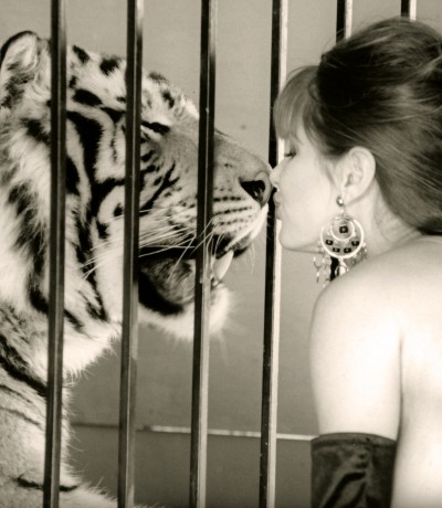 Penthouse Gold porn video: Andi Sue, Pet Detective