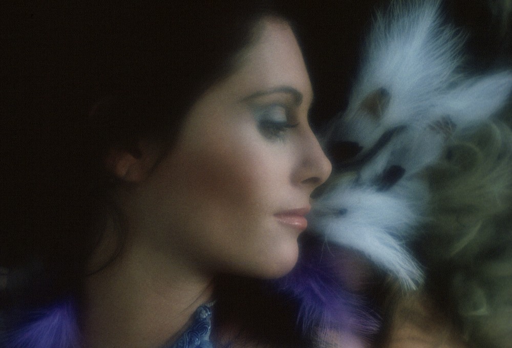 Penthouse Gold porn video: Without Reservation