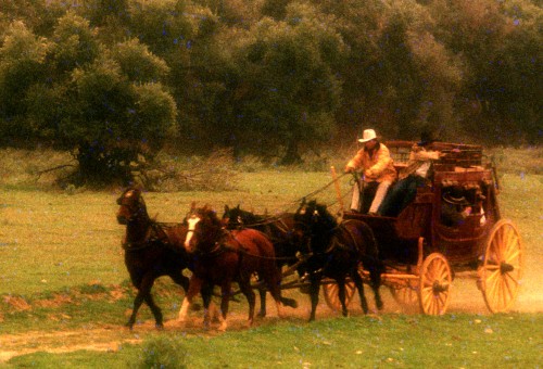 Penthouse Gold porn video: Cattle Annie and Little Britches