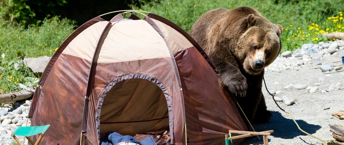 Ask Faber - Sept. 2017